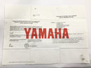 Yamaha XVS 650 4VR [1997] - Sissybar backrest pillion rest with certificate chrome-4