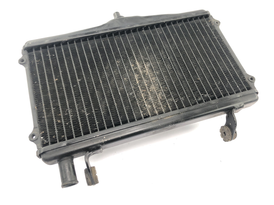Honda NSR 125 JC20 [1991] - Radiator water cooler radiator network cooling radiator