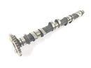 Honda CBR 900 RR SC28 [1995] - Exhaust camshaft camshaft exhaust-4