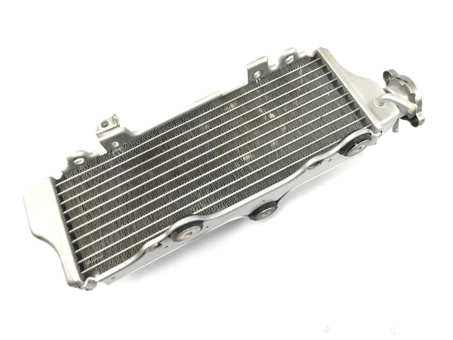 SWM RS 125 R B2 [2020] - Radiator water cooler cooling system radiator net at the front