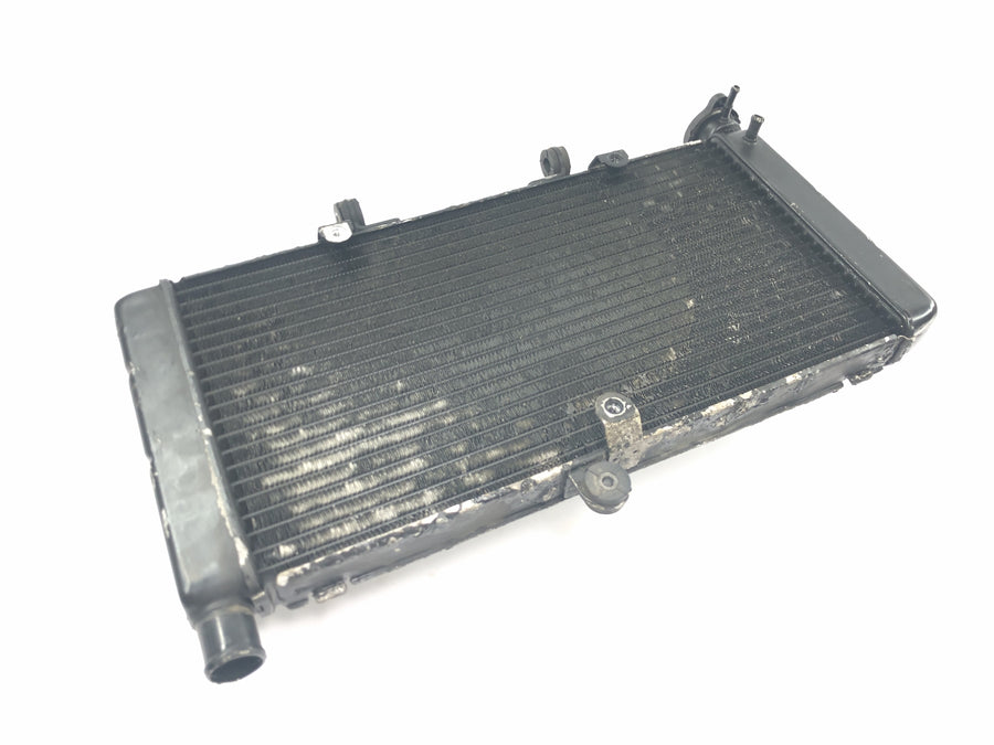 Honda CBR 900 RR SC28 [1995] - Radiator water cooler radiator network
