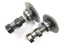 SWM RS 125 R B2 [2020] - Camshaft control shaft camshaft gear gear set-1