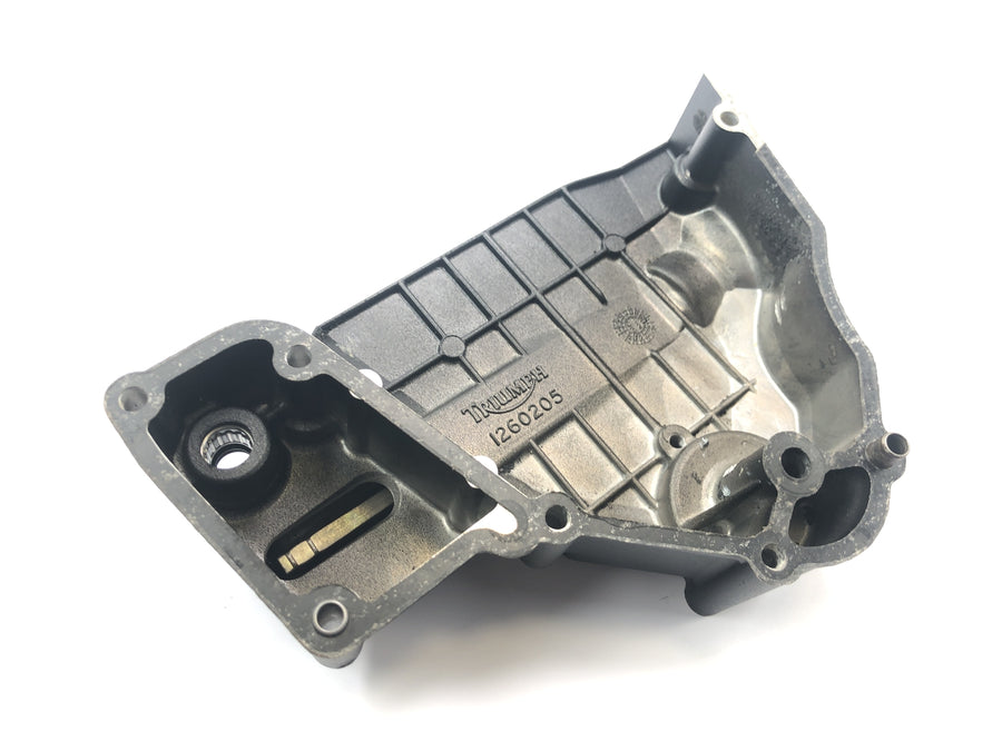 Triumph Daytona 1200 T300D [1994] - sprocket cover engine cover