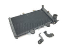 Triumph Daytona 1200 T300D [1994] - Radiator water cooler cooling system radiator network-4