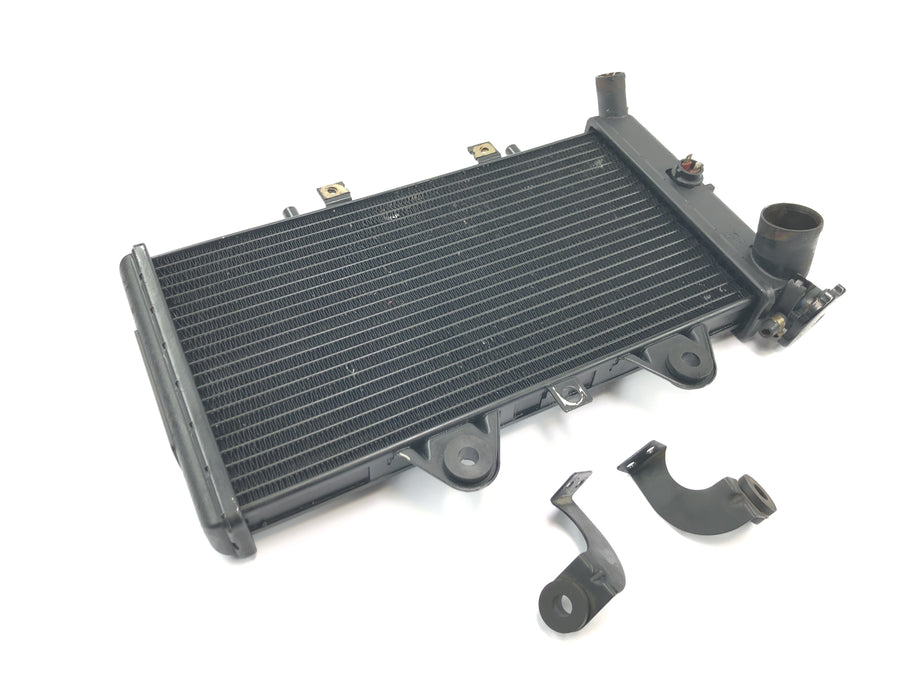 Triumph Daytona 1200 T300D [1994] - Radiator water cooler cooling system radiator network