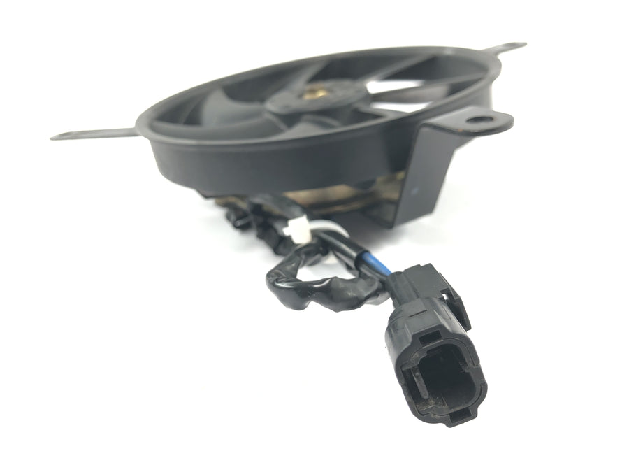 Honda CBR 600 RR PC37 [2004] - Radiator fan electric front fan