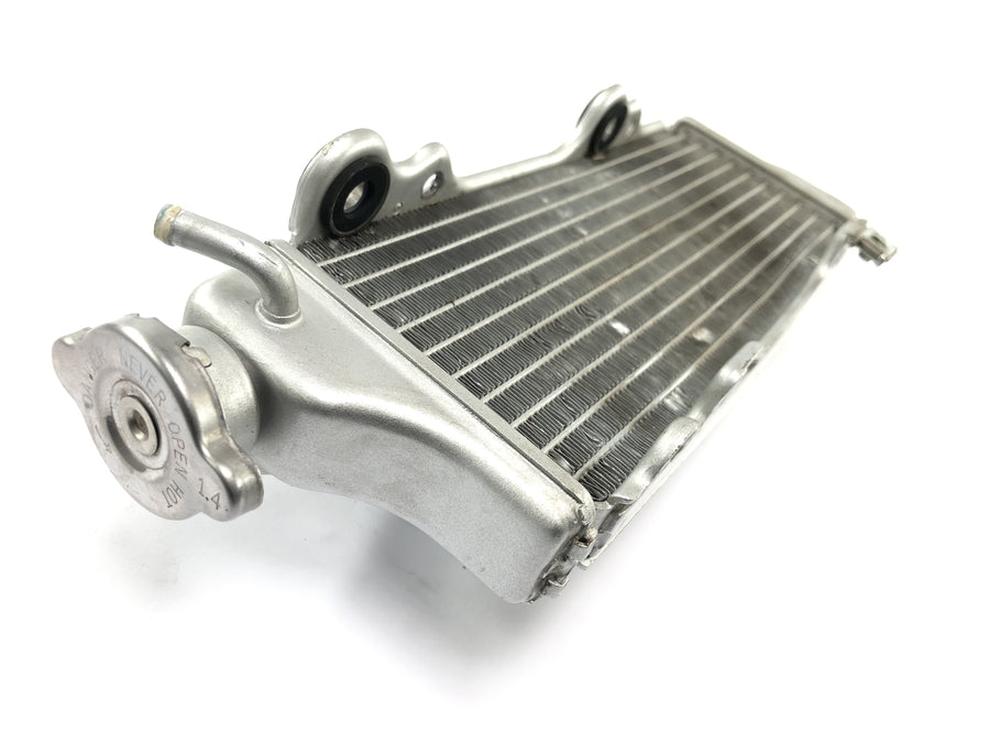 SWM RS 125 R B2 [2020] - Radiator water cooler cooling system radiator net at the front