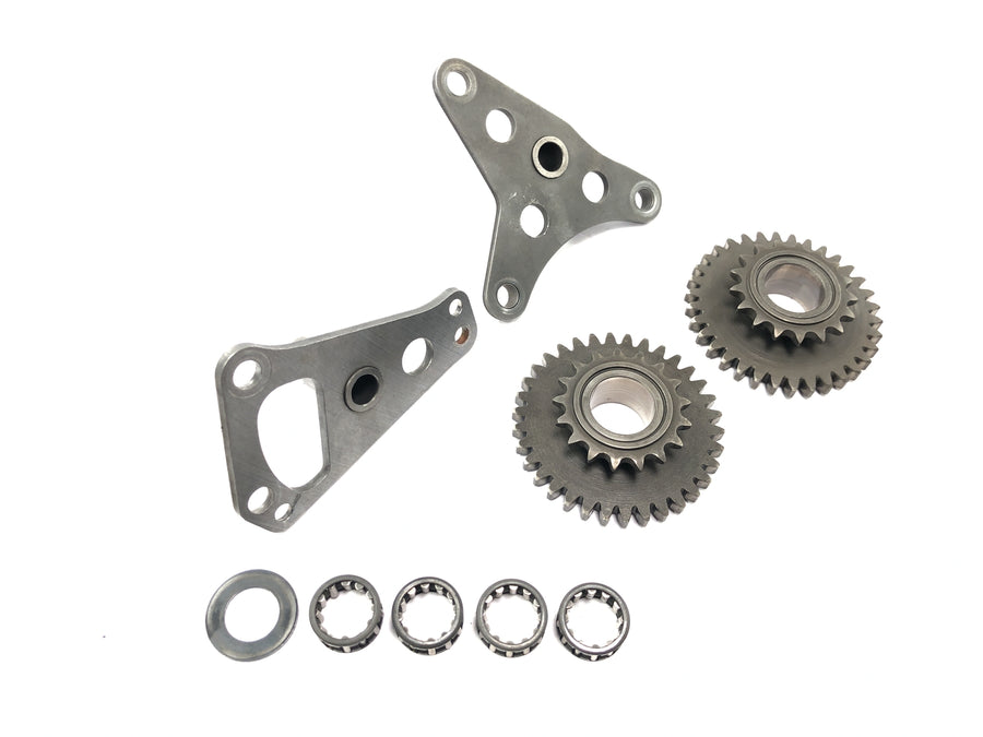 Aprilia Mille RSV 1000 ME [1999] - Timing chain drive set