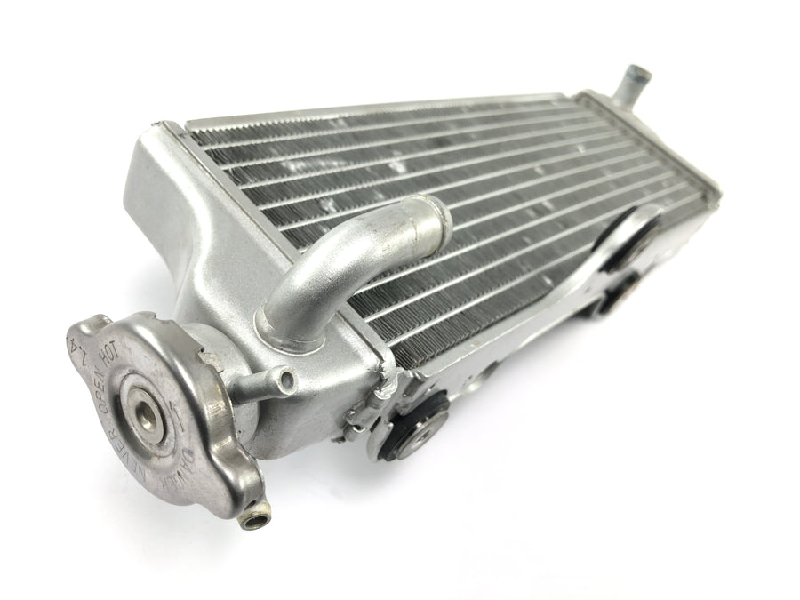 SWM RS 125 R B2 [2020] - Radiator water cooler cooling system radiator net at the front