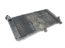 Honda CBR 900 RR SC28 [1995] - Radiator water cooler radiator network-1