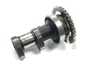 Suzuki RM Z 250 RJ41A [2007] - Camshaft exhaust camshaft-3