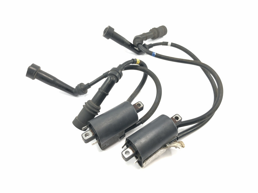Yamaha XV 1600 Wild Star VP08 [2002] - Ignition coil pair ignition coil ignition cable ignition system