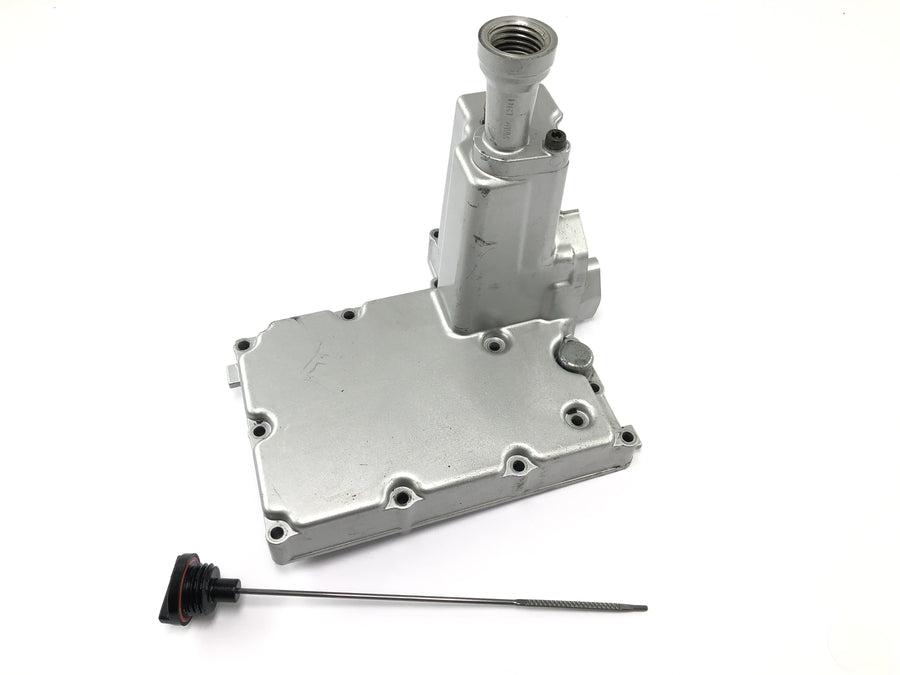 Yamaha XV 1600 Wild Star VP08 [2002] - Oil filler neck primary drive engine cover