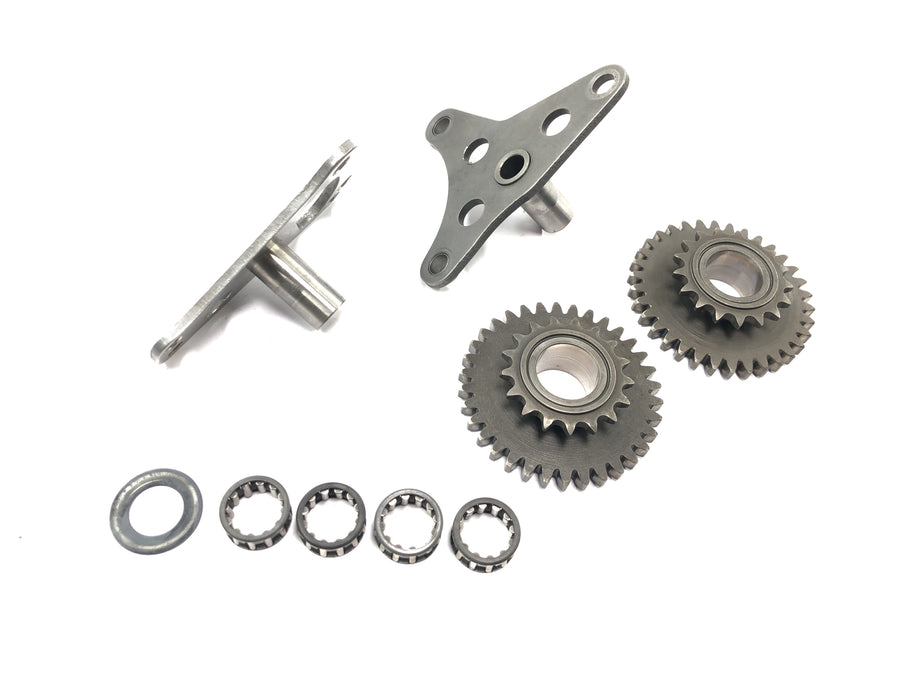 Aprilia Mille RSV 1000 ME [1999] - Timing chain drive set