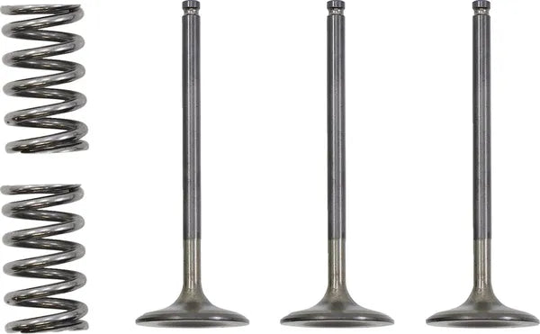 GAS GAS EC 450 [PROX] – valve and spring set