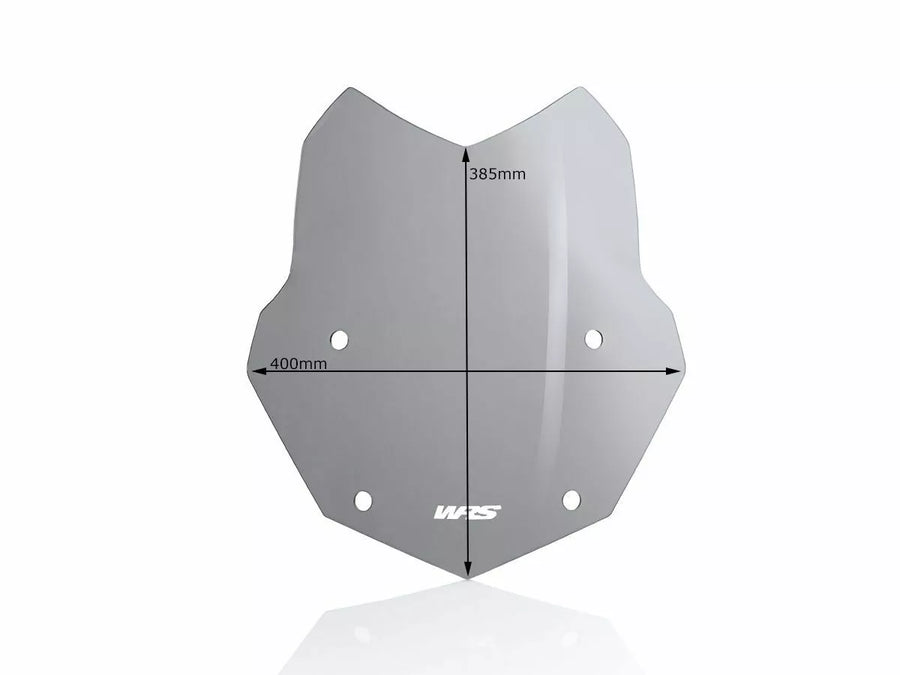 BMW R 1200 GS [WRS] - windshield