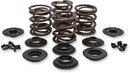 Harley Davidson Flfb [KIBBLEWHITE] - OEM Replacement Valve Spring Kit