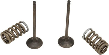 Suzuki RM 250 [PROX] – valve and spring set