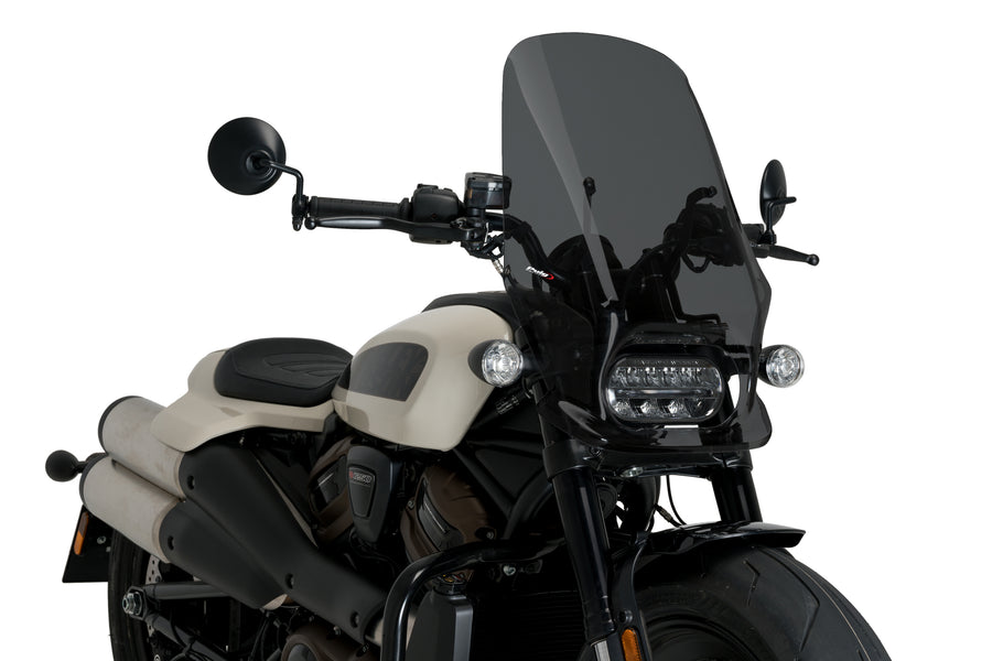 HARLEY DAVIDSON SPORTSTER S RH 1250 S [2024] – New Generation Touring – Tinted