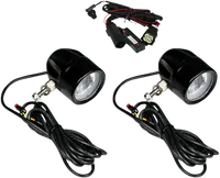 Harley-Davidson FLRT 1868 Freewheeler 114 [2022] - 4-1/2" LED-Nebelscheinwerfer – Bild 8