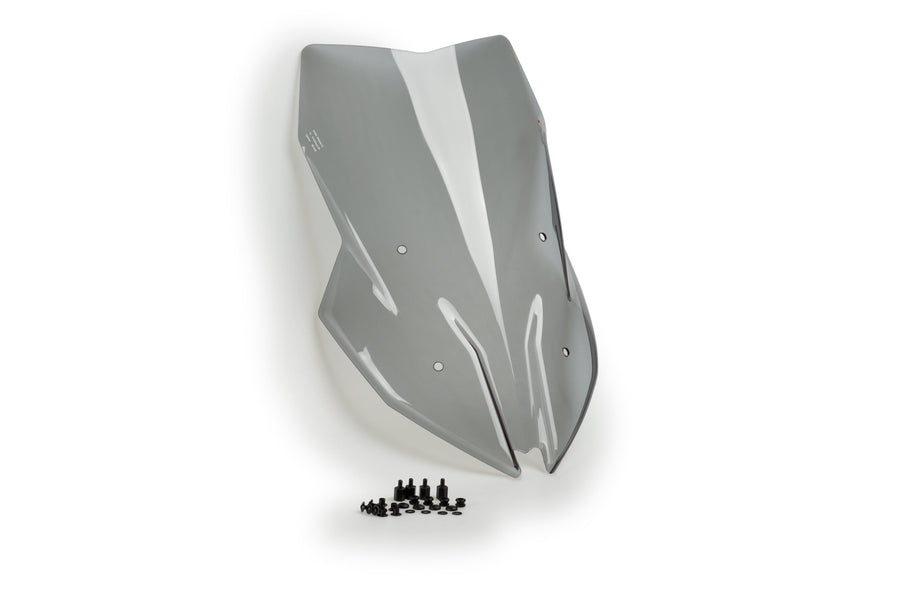 BMW F 900 XR [2025] – touring window – heavily tinted