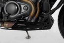 Harley-Davidson RA 1250 SE Pan America CVO [2024] - engine guard - picture 4