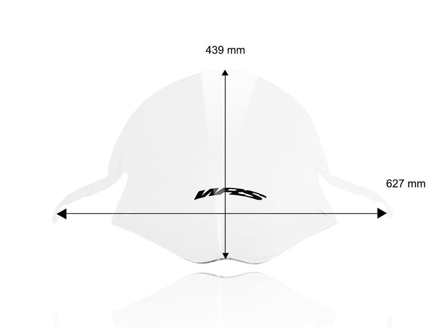 BMW S 1000 RR [2025-2025] - Racing Windschild hoch – Ansicht 12