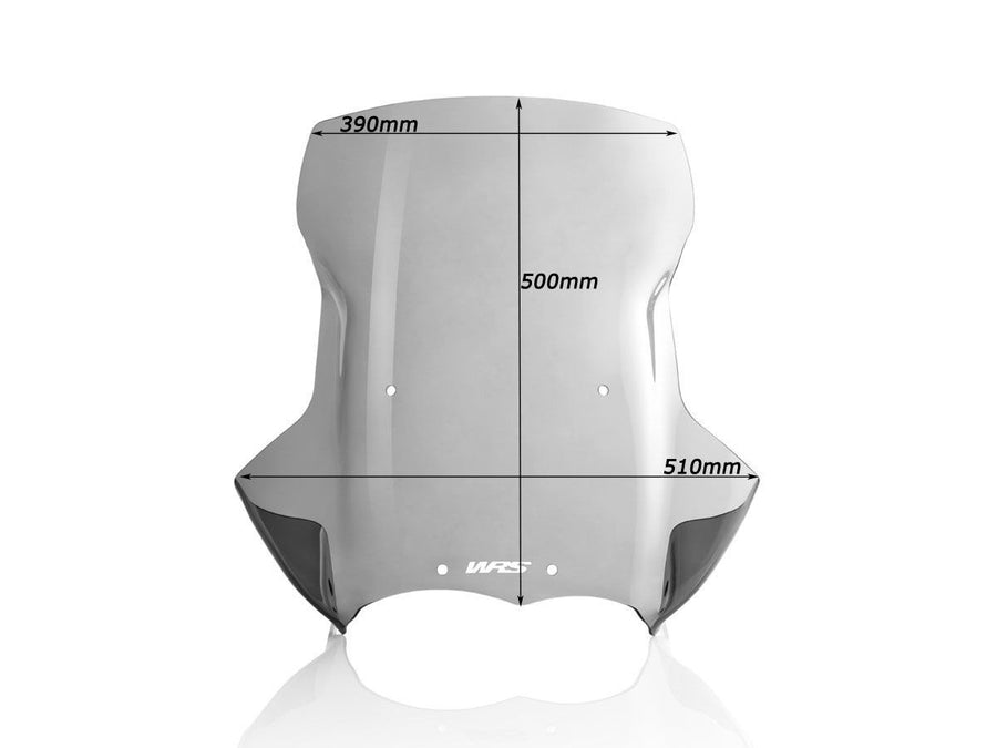 BMW R 1200 GS [2004-2012] - Caponord Windschild – Ansicht 7