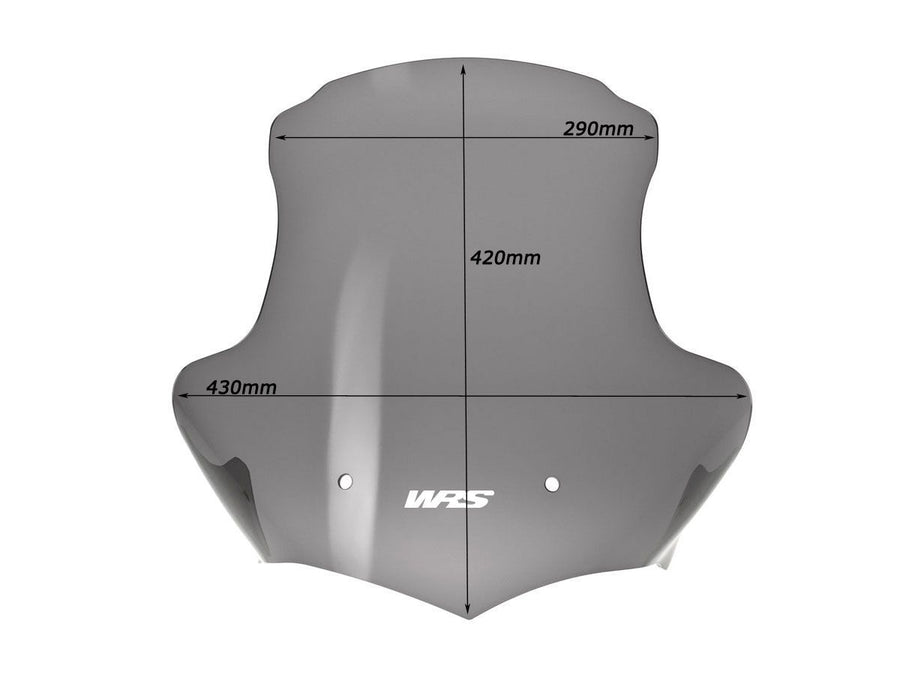 BMW K 1200 R [2005-2008] - Touring windshield – view 7
